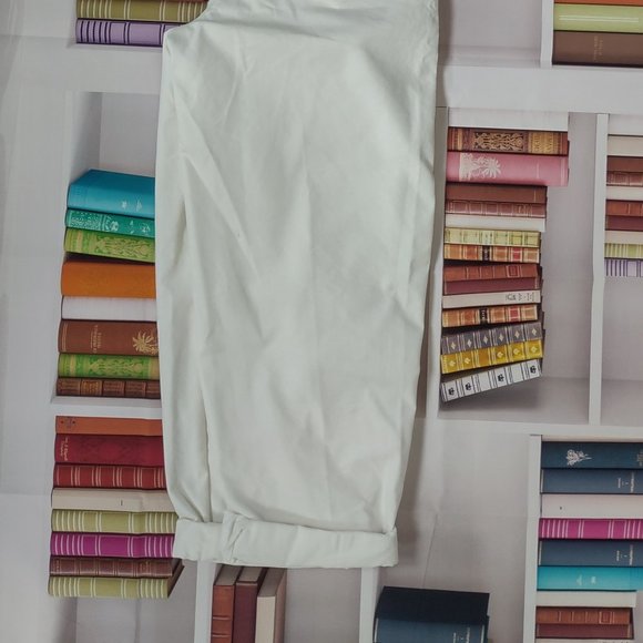 Aritzia Wilfred Free White Pleated Trousers - Picture 4 of 6